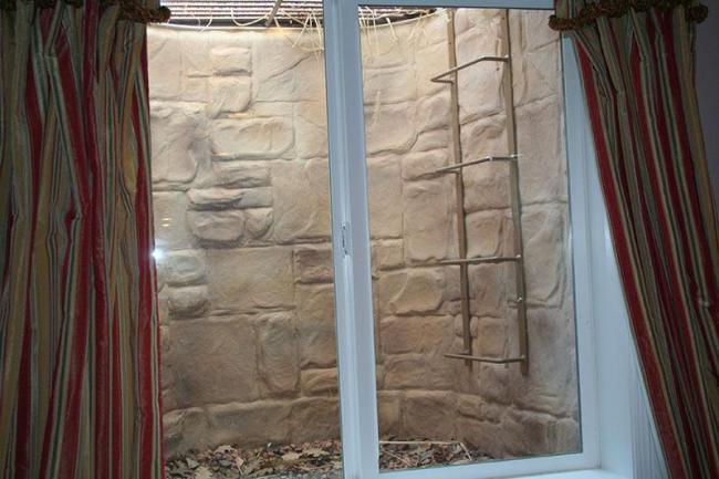 egress window requirements