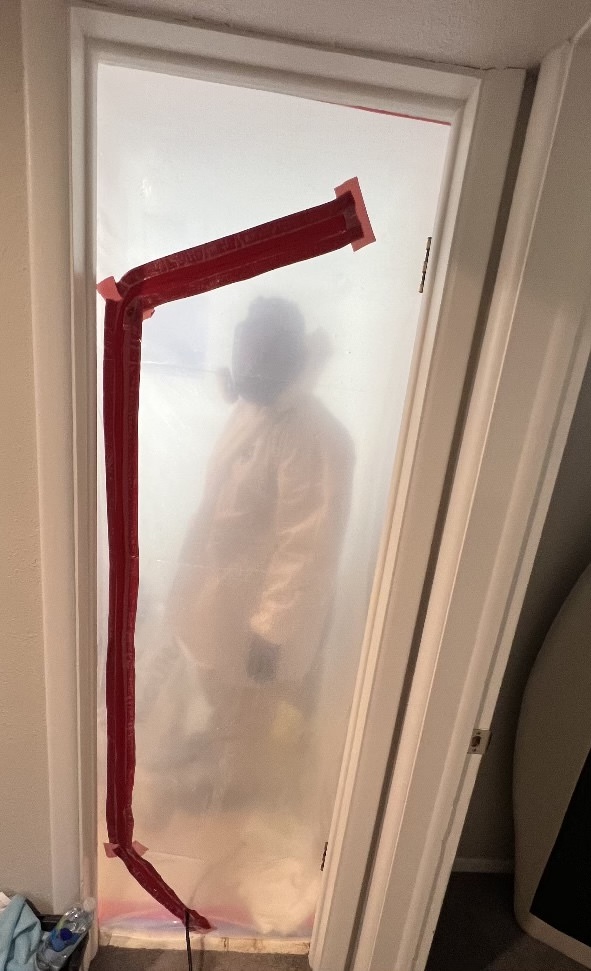 Black mold mitigation in Colorado