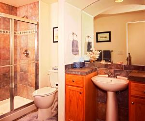 Basement Bathroom with Architectural Detail