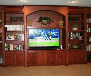 Basement Media Room