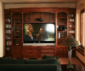 Basement Media Room