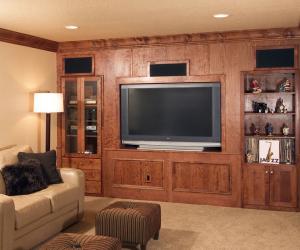 Basement TV room