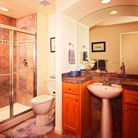 Basement Bathroom with Architectural Detail